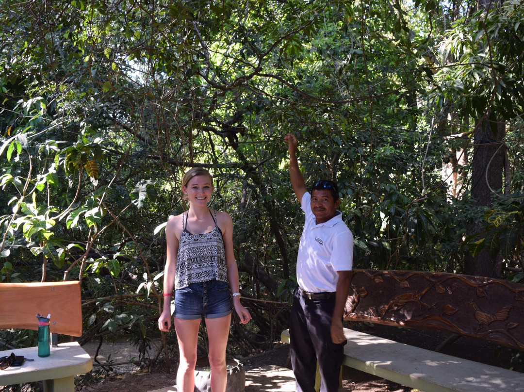 LAR Transportes-萨迪纳尔必去景点