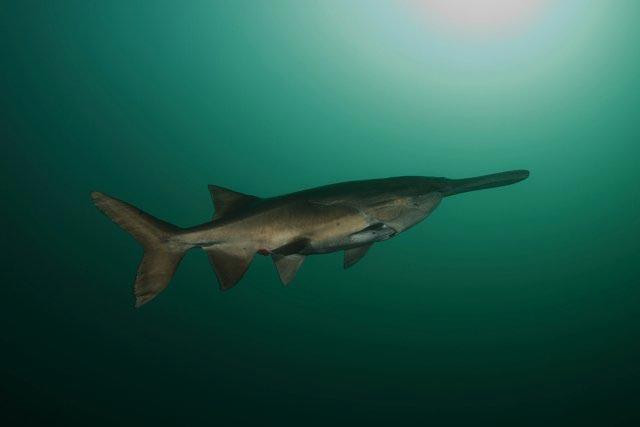 Loch Low-Minn-Athens必去景点