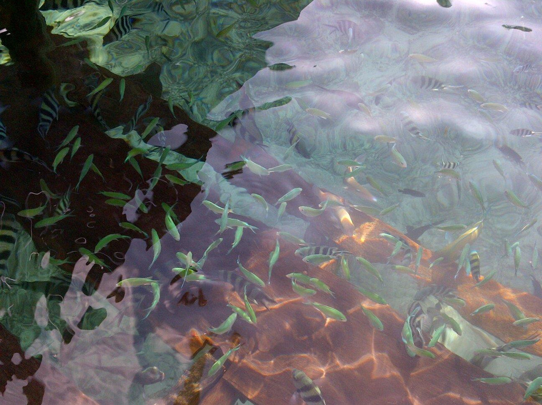 Sawinggrai Village-索龙必去景点