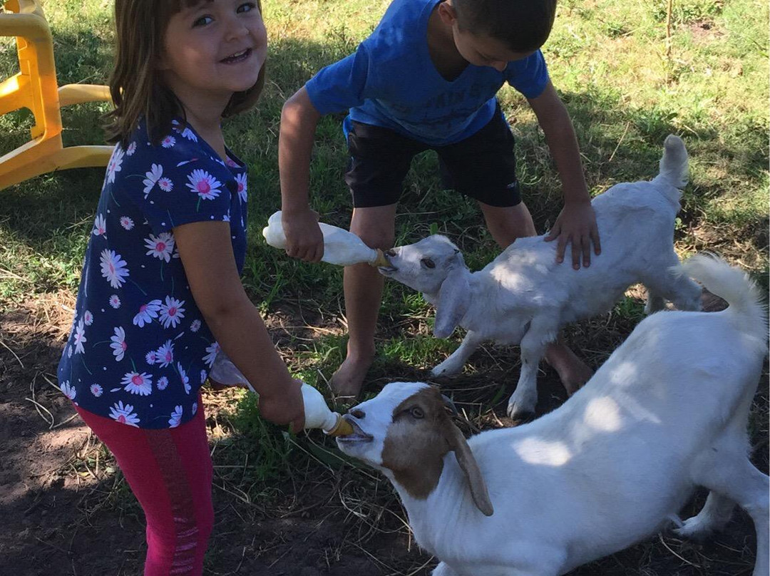 Thornhill Farm主图