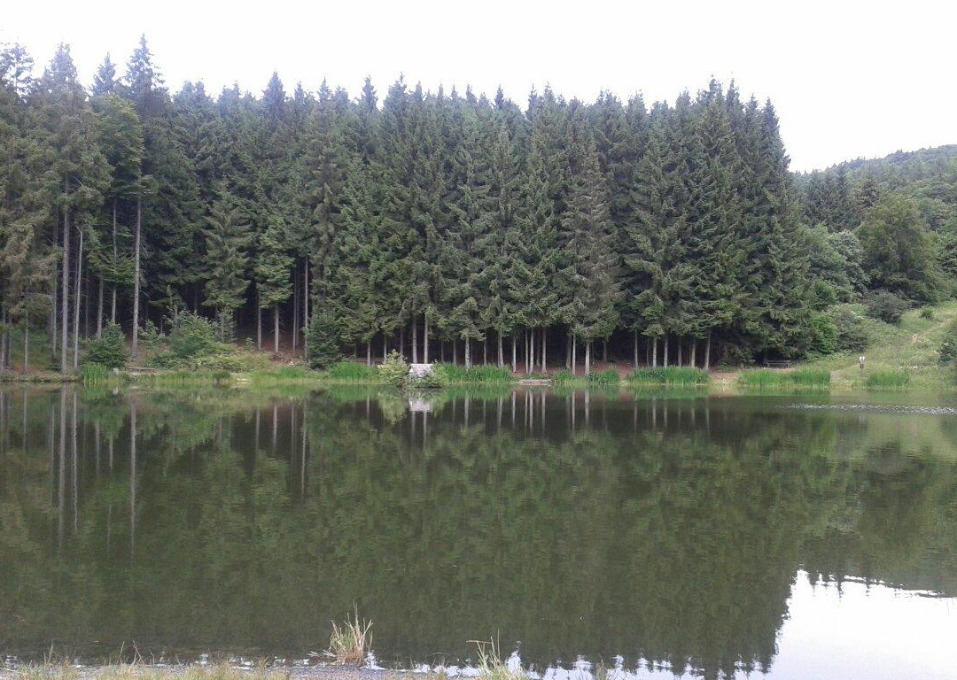 Rothsee-Bischofsheim in der Rhoen必去景点