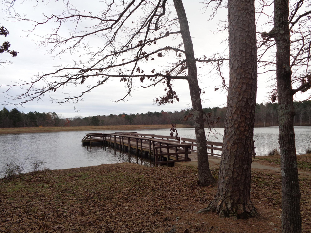 Pinewoods Lake Recreation Area景点图片