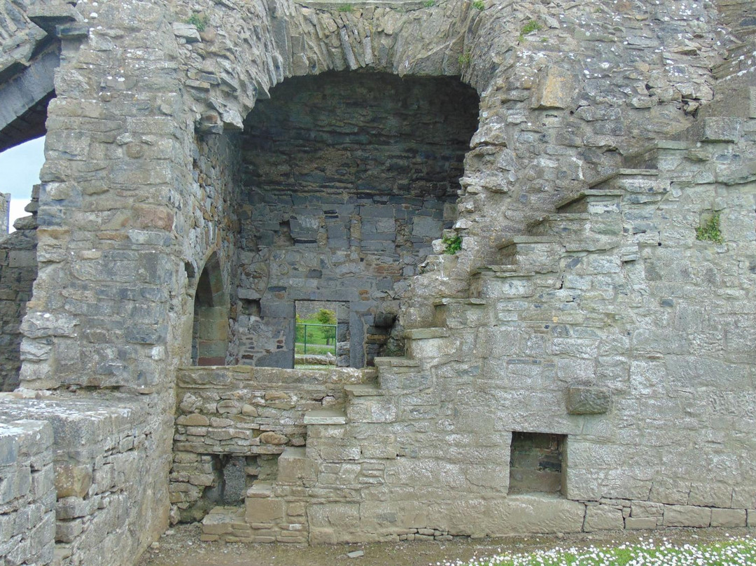 Ardfert Friary-Ardfert必去景点
