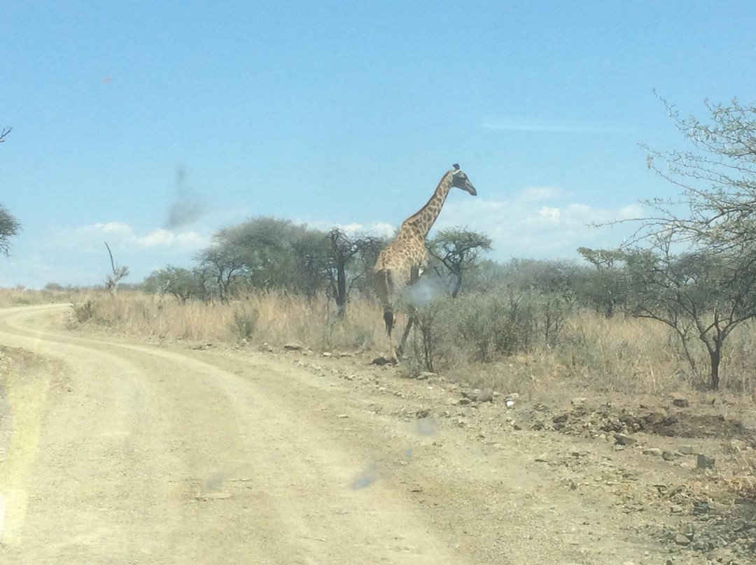 Weenen Game Reserve