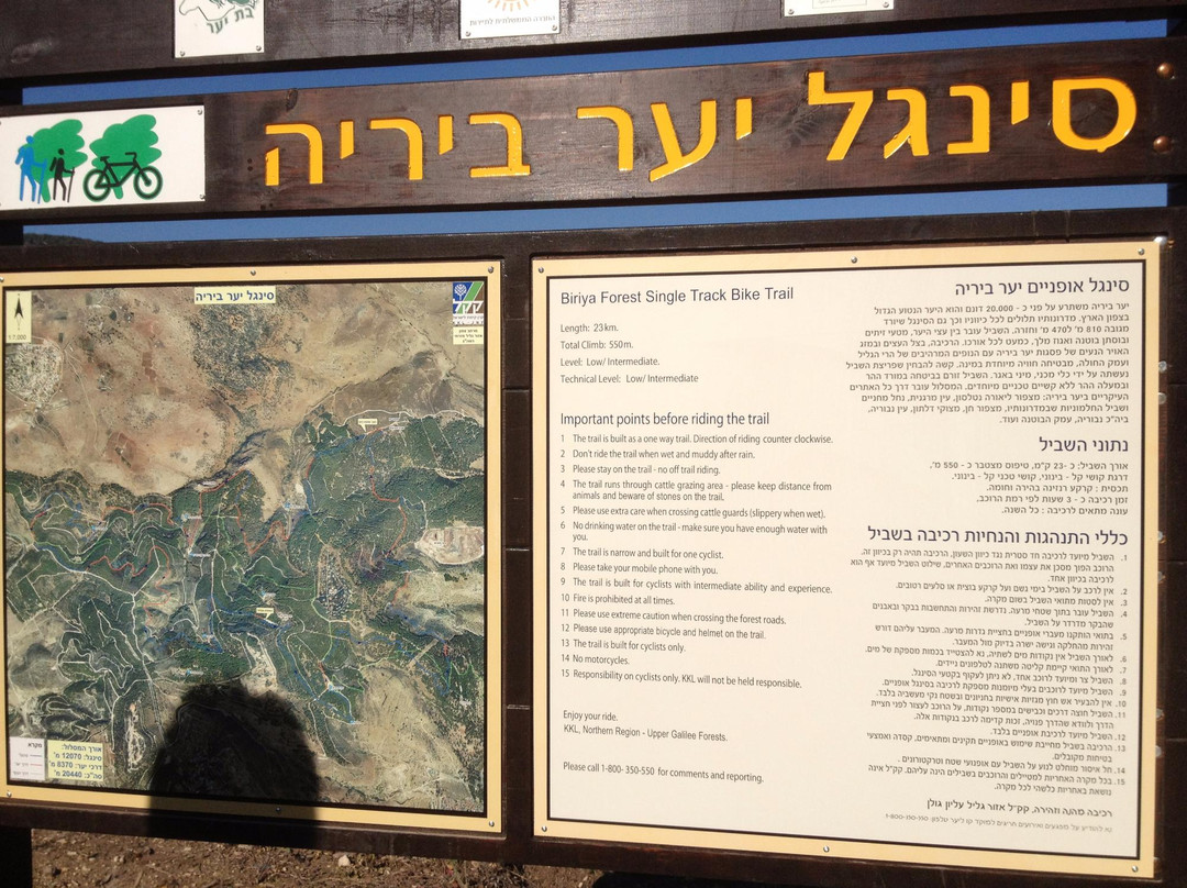 Biriya Forest-萨法德必去景点