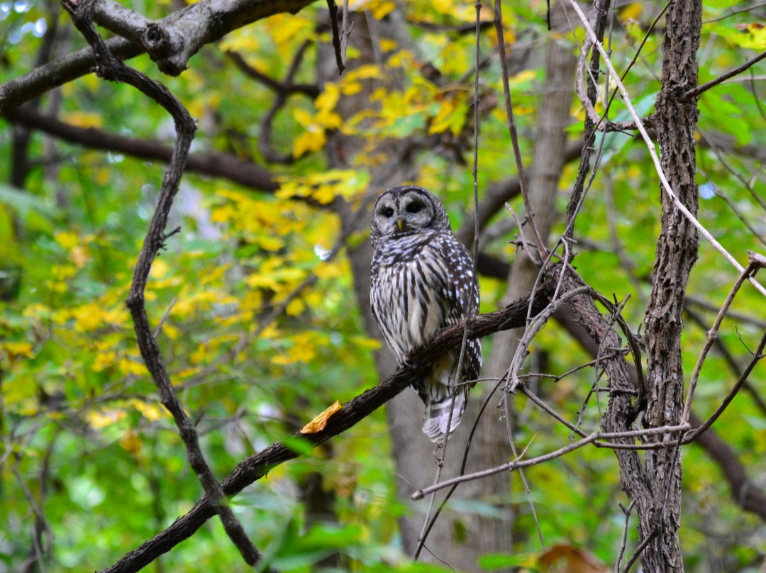 Weston Bend State Park-Weston必去景点