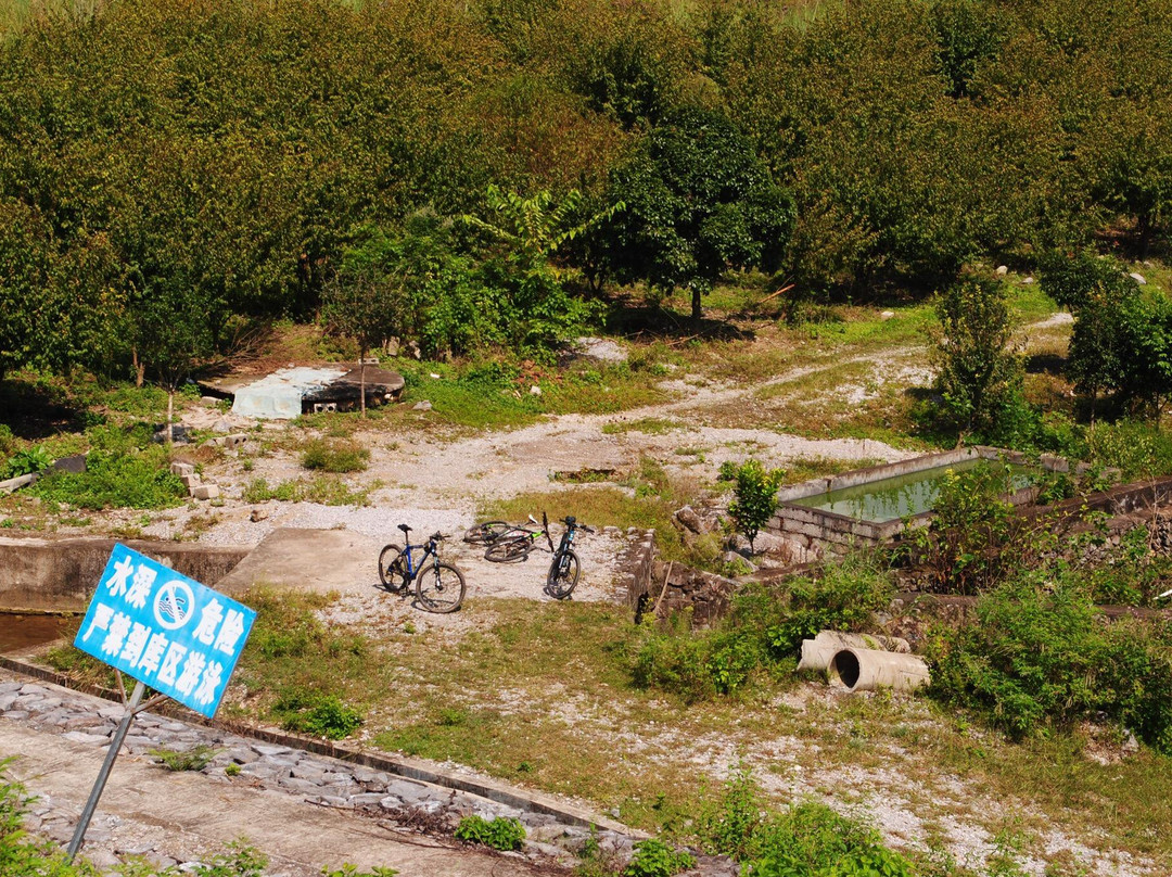 Sherwin's Mountain Biking Tour景点图片