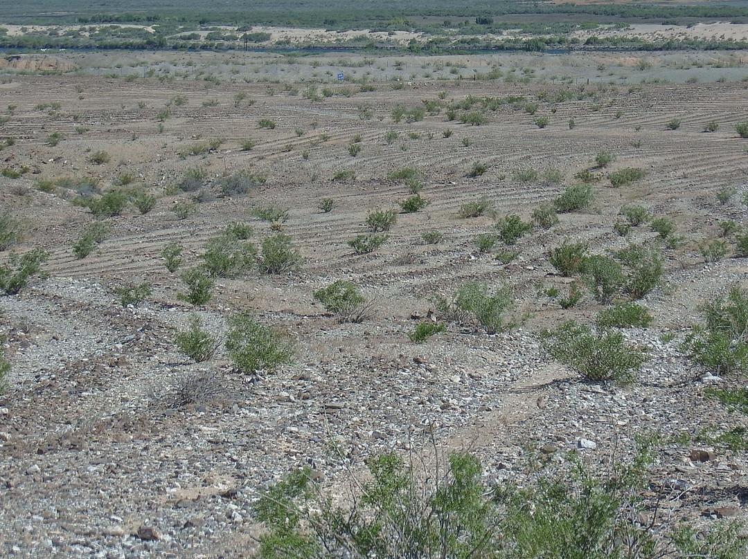 Mystic Maze-尼德尔斯必去景点