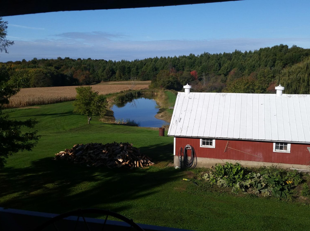 Honeyville Manor B&B主图