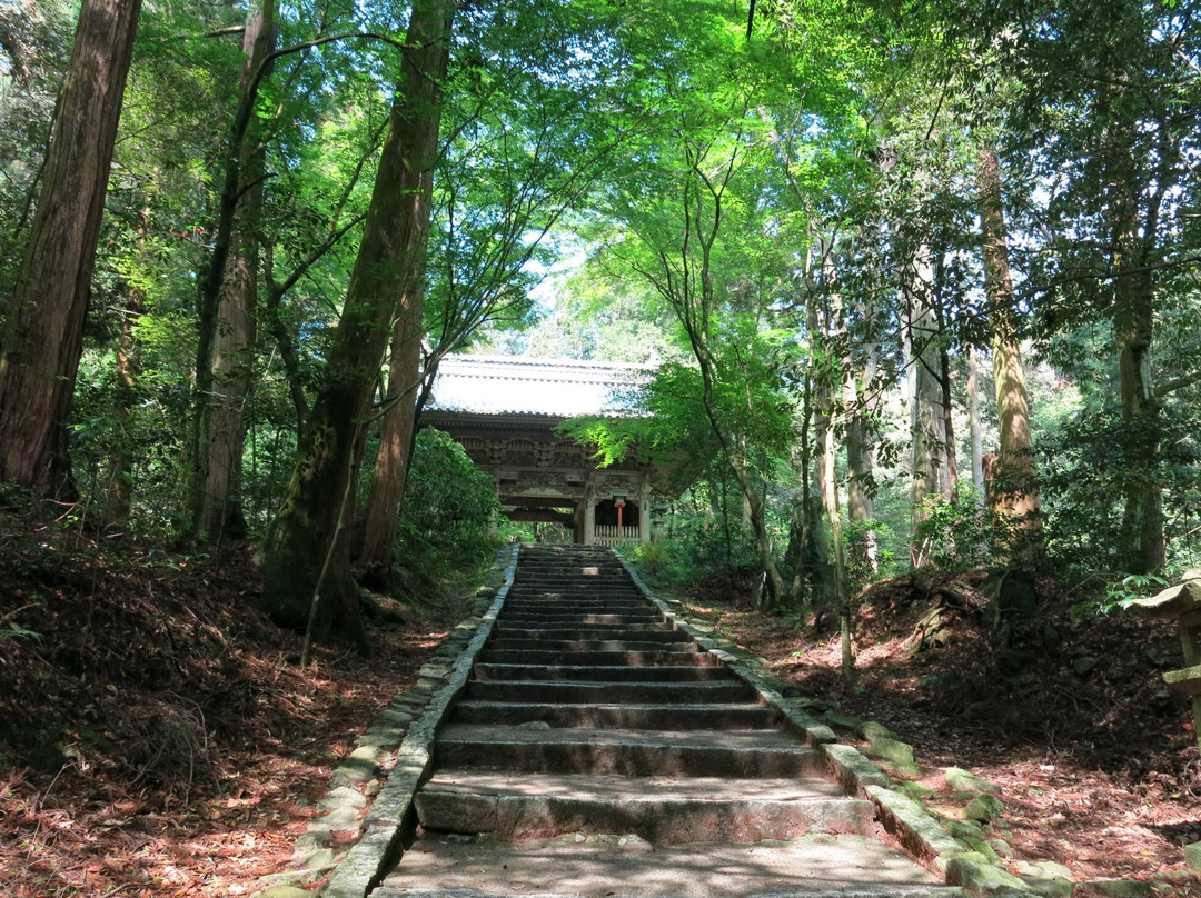 Nishiyama  Koryuji Temple-西条市必去景点