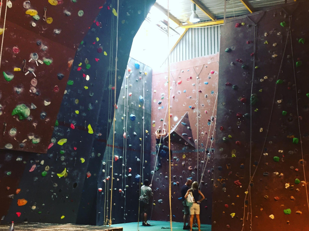 Wonderwall Climbing Gym景点图片