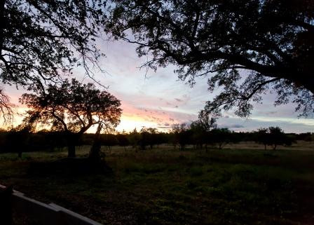 Markward Manor Bed and Breakfast Inn主图