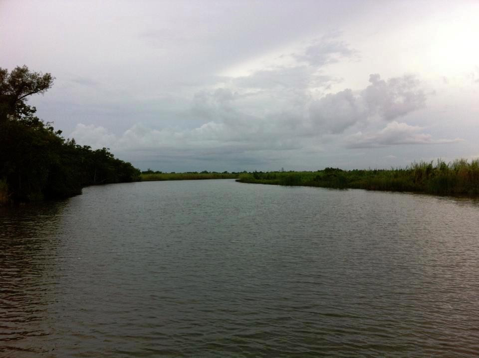 WildNative Tours-Spanish Fort必去景点