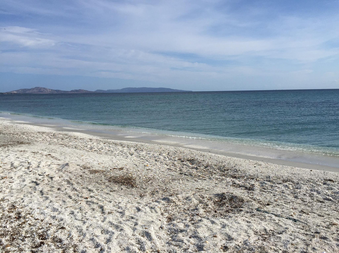Spiaggia Pazzona-斯廷蒂诺必去景点