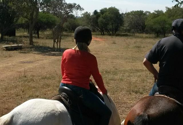 Groot Verlange Horse Academy & Safaris-Brits必去景点