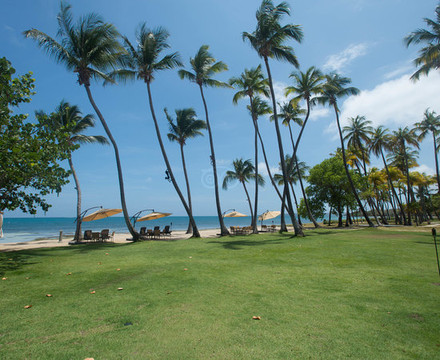 科帕马里纳Spa海滩度假村主图