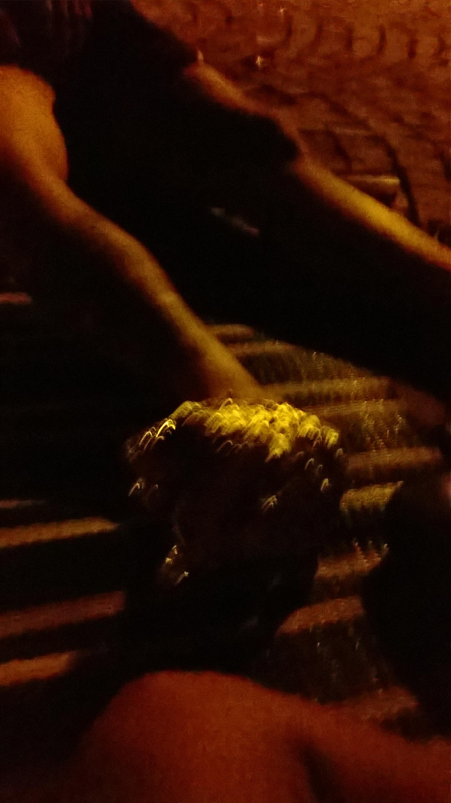 Apartements Bizjak-客卧