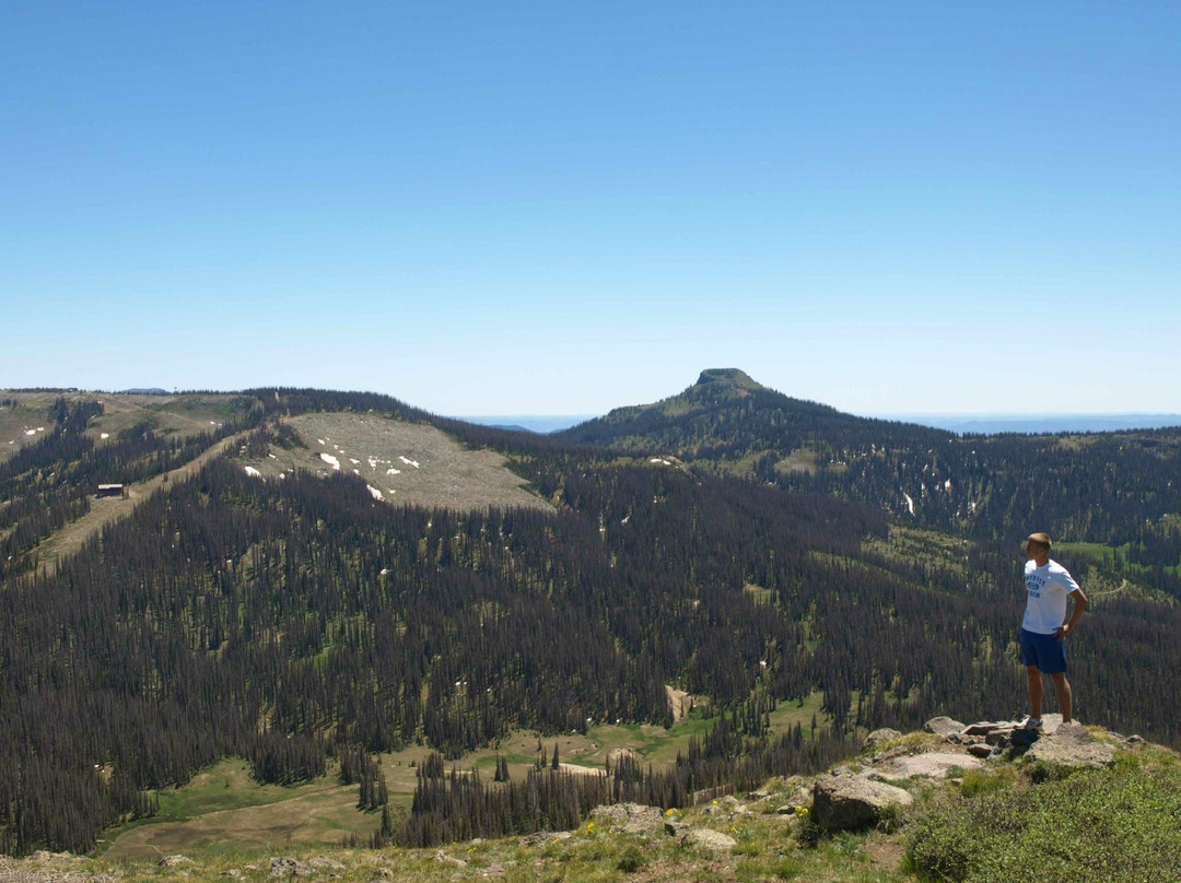 Lobo Overlook / Radio Tower-帕戈萨斯普林斯必去景点