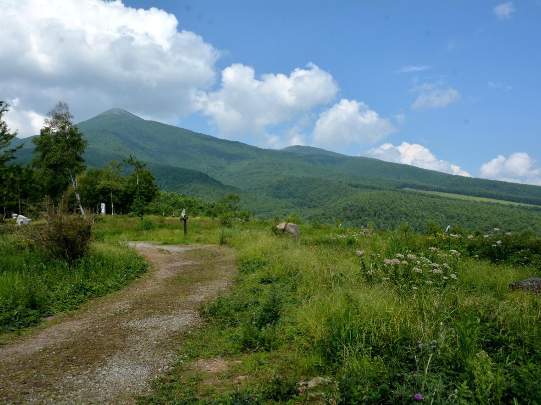 富士见町旅游攻略图片