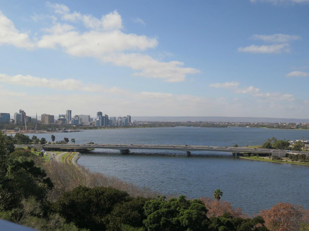 国王公园及植物园-珀斯必去景点