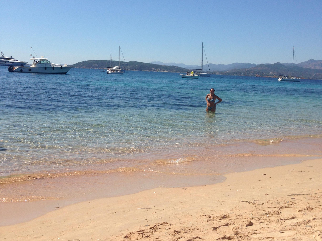 DST- Diving & Snorkelling Team Sardegna-Golfo Aranci必去景点