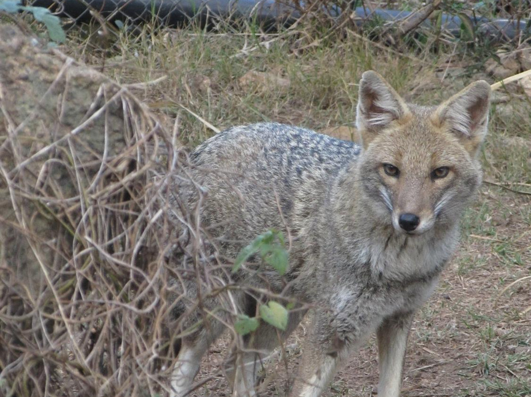 La Estacion de Cria de Fauna-Piriapolis必去景点