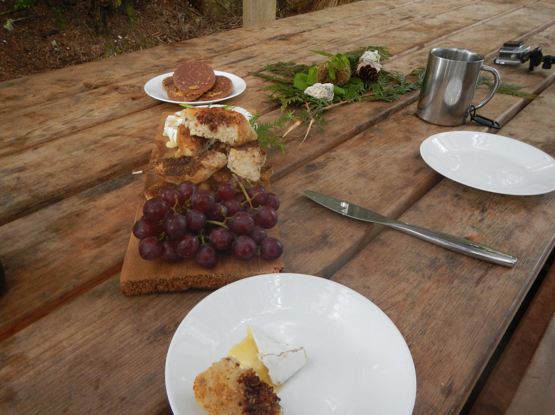 Kingfisher Wilderness Adventures-Port McNeill必去景点