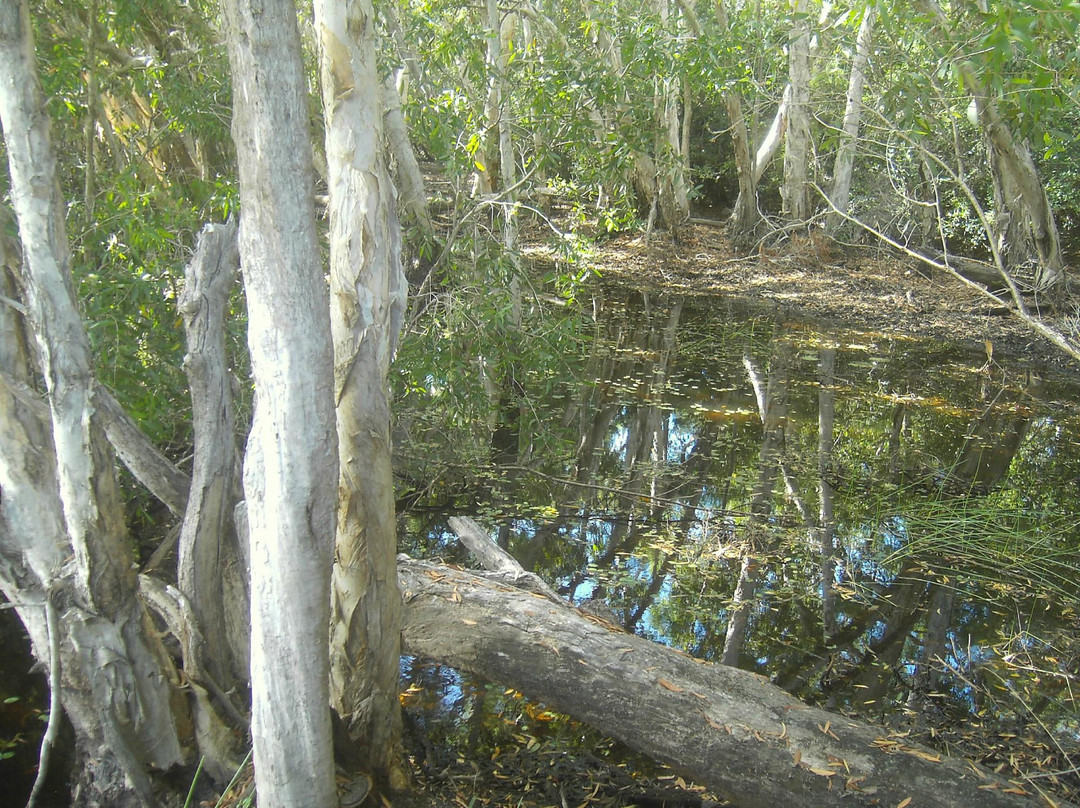 Keating's Lagoon-库克敦必去景点