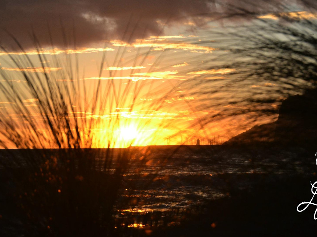 Life is a Beach Barcelona's Uutback Tours - Tour-卡斯特尔德费尔斯必去景点