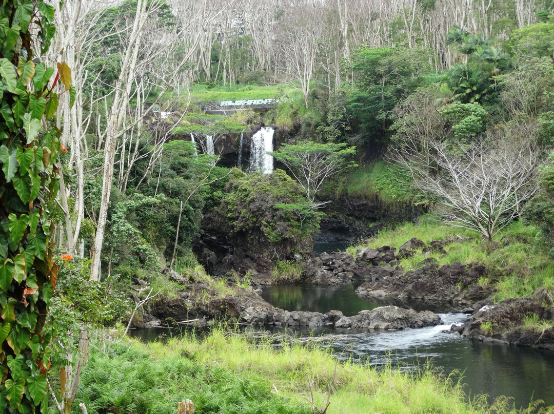 Pe'epe'e Falls景点图片