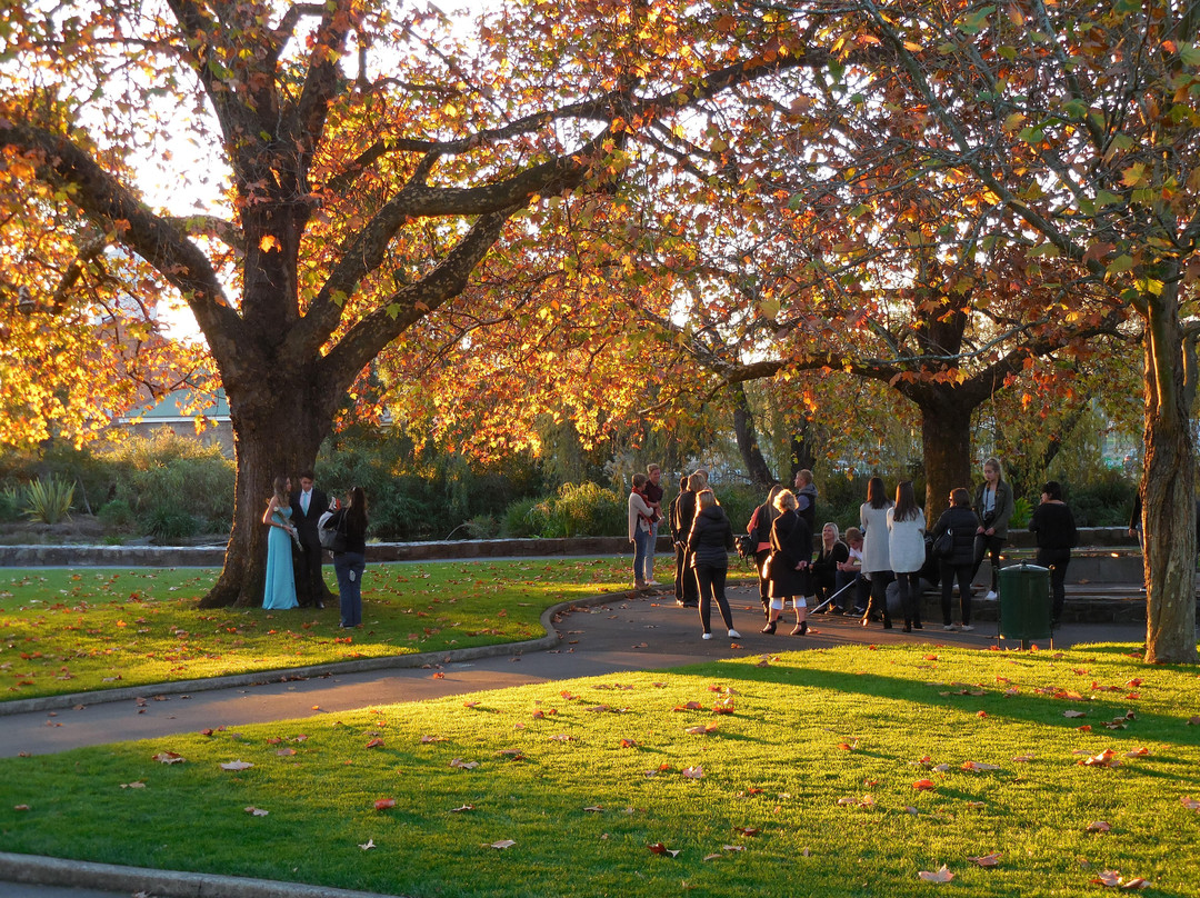 城市公园-朗塞斯顿必去景点