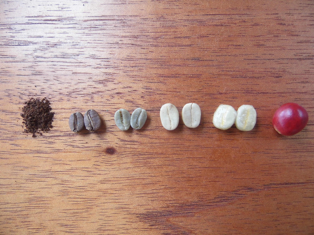 El Jardin Del Cafe景点图片