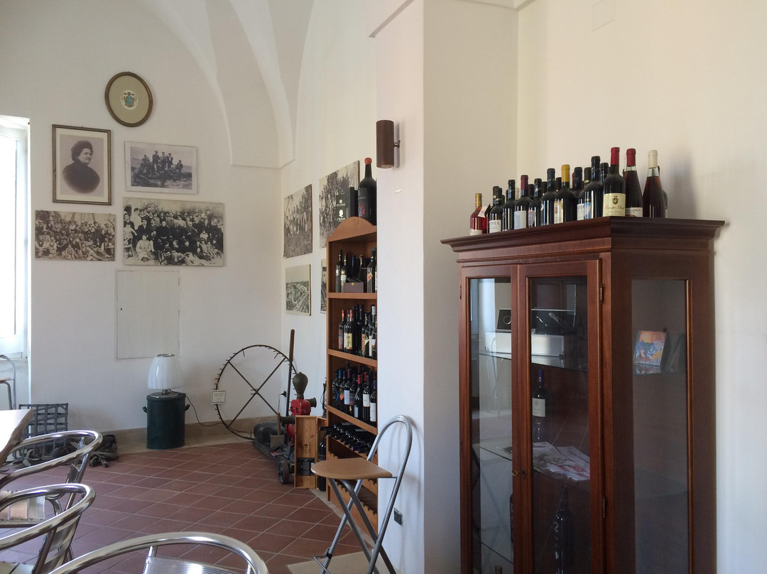 Puglia Wine School景点图片
