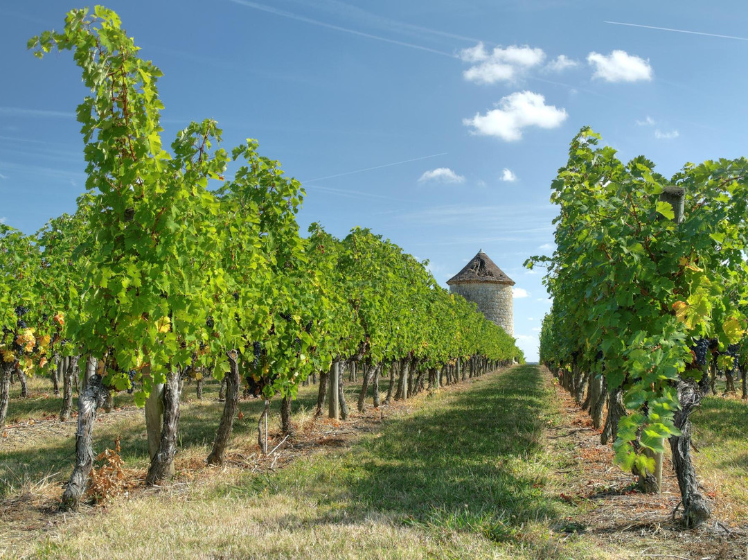 Caussens旅游攻略图片