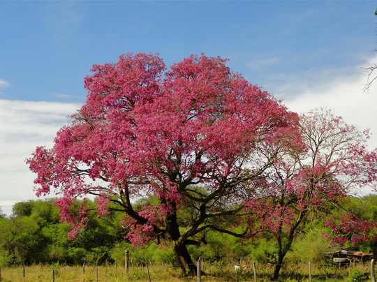 Manantiales Hoteles & Entretenimientos Mercedes主图