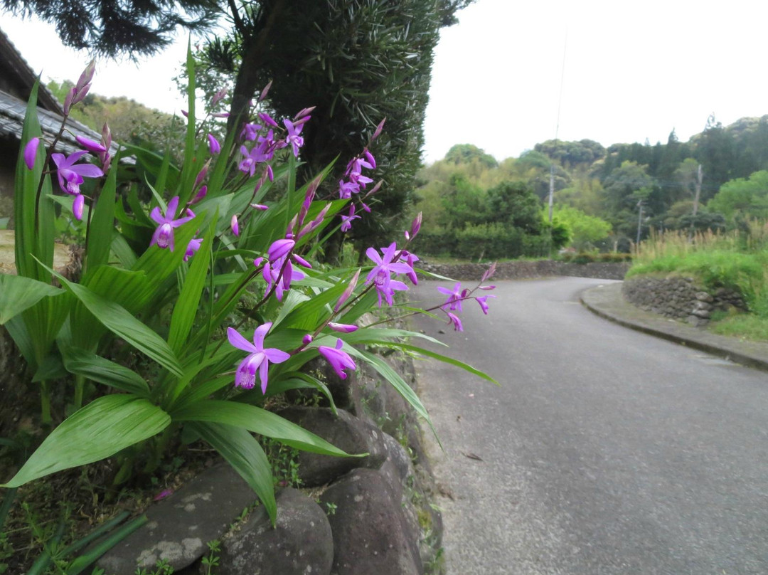 Iriki Fumoto Buke Yashikigun-萨摩川内市必去景点