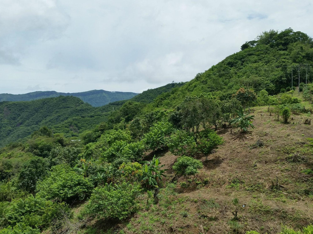 Hotel Campestre Mango Biche Anapoima主图