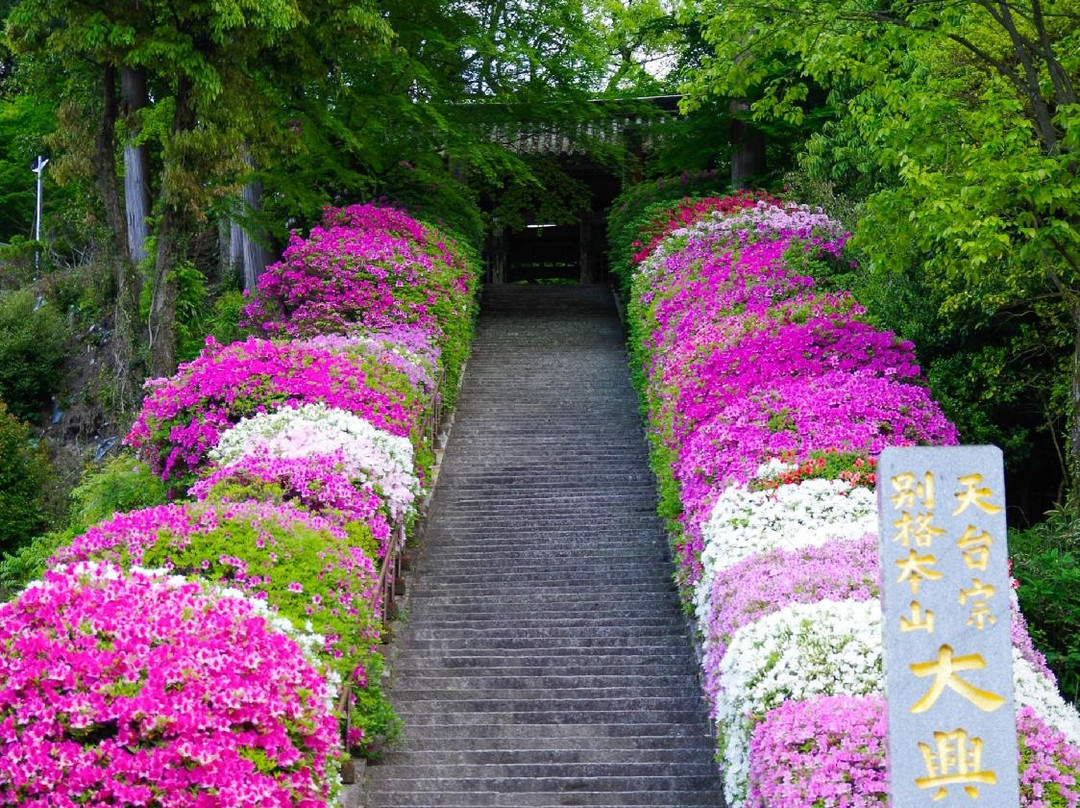 Daikozenji Temple景点图片