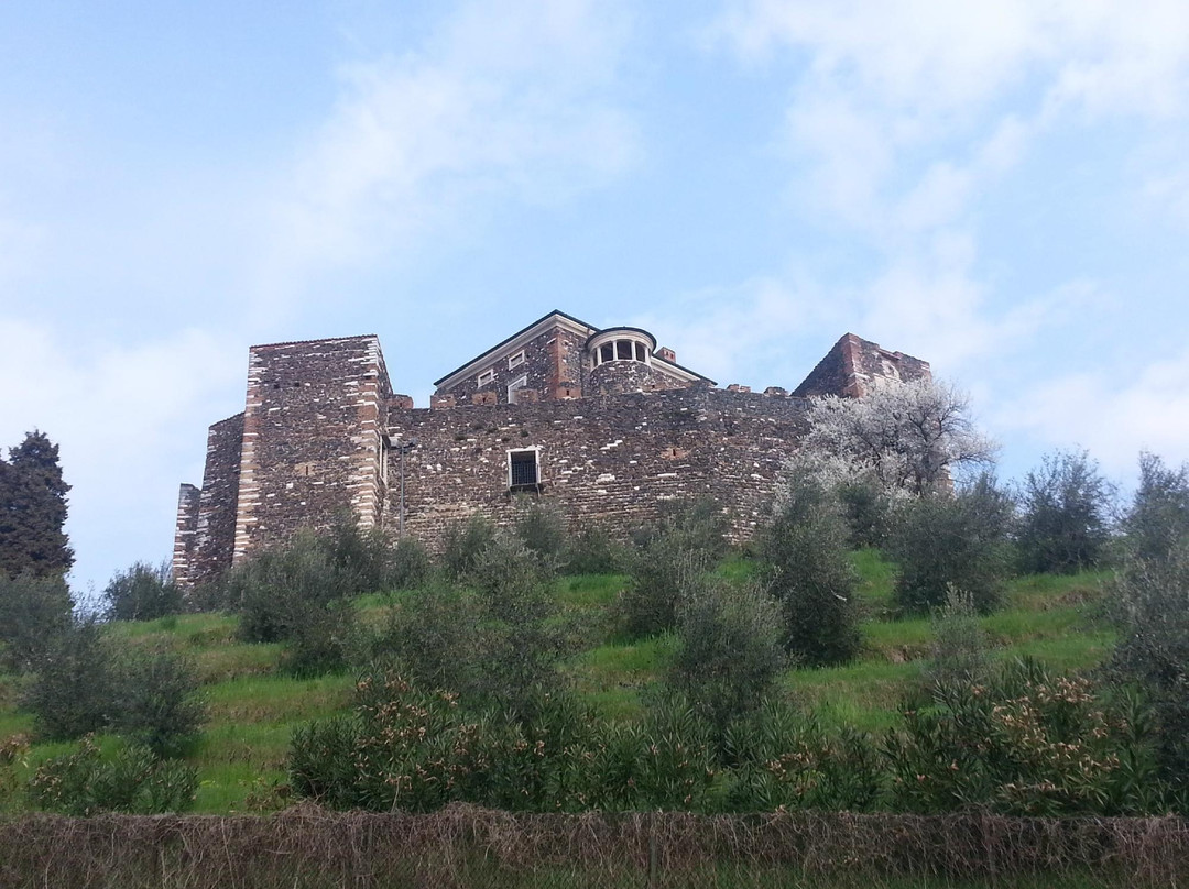Castello di Arzignano景点图片