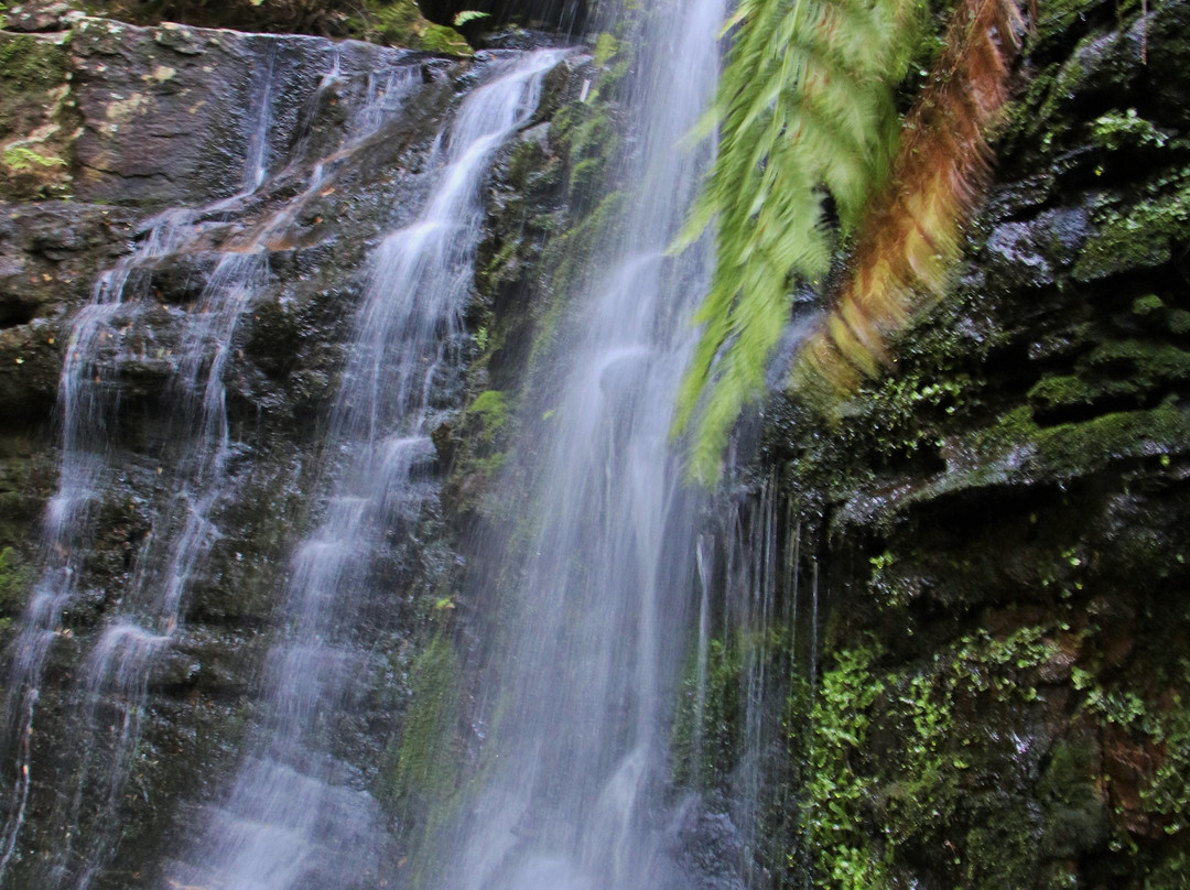 Fairy Bower Falls-Bundanoon必去景点