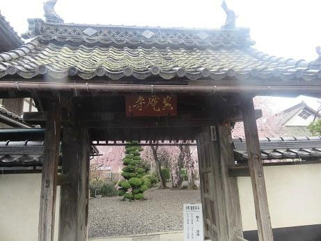Tenkyuji Temple-长野县必去景点