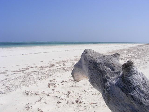 Nemm Tours and Safaris-迪亚尼必去景点