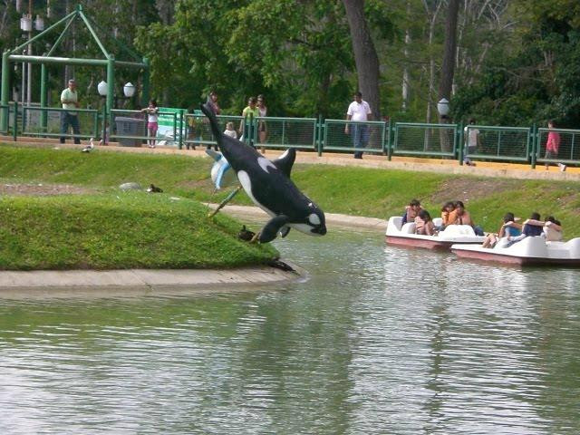 Parque Tematico Bosque Macuto景点图片