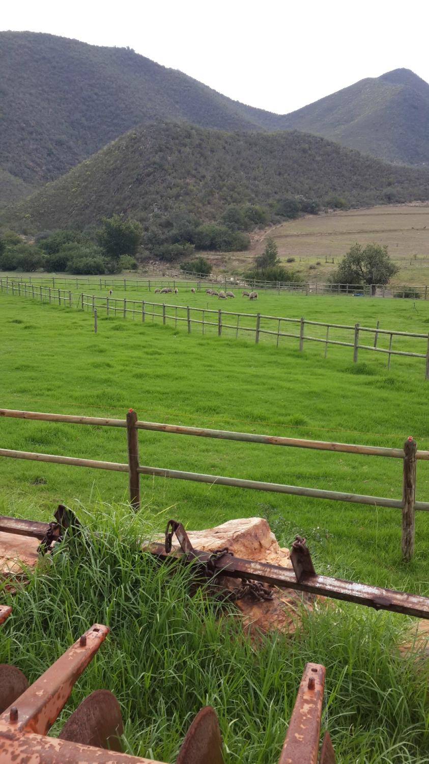 Ragels Rivier Guest Farm-酒店景观
