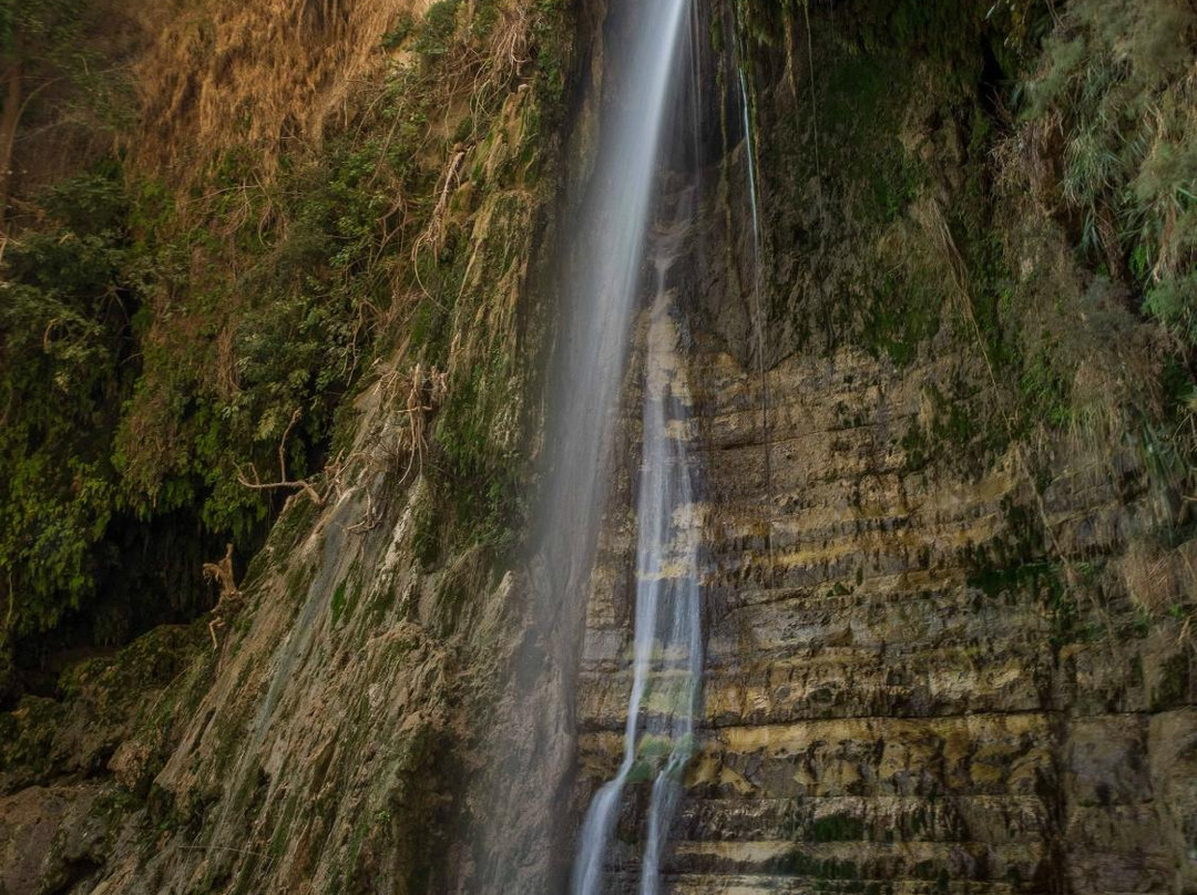 Ein Gedi Eco Park-恩戈地必去景点