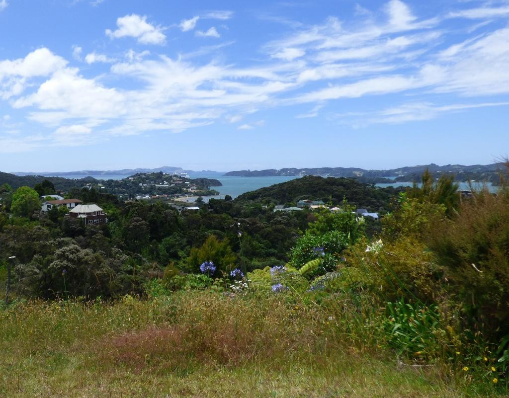 Paihia Harbour-派希亚必去景点