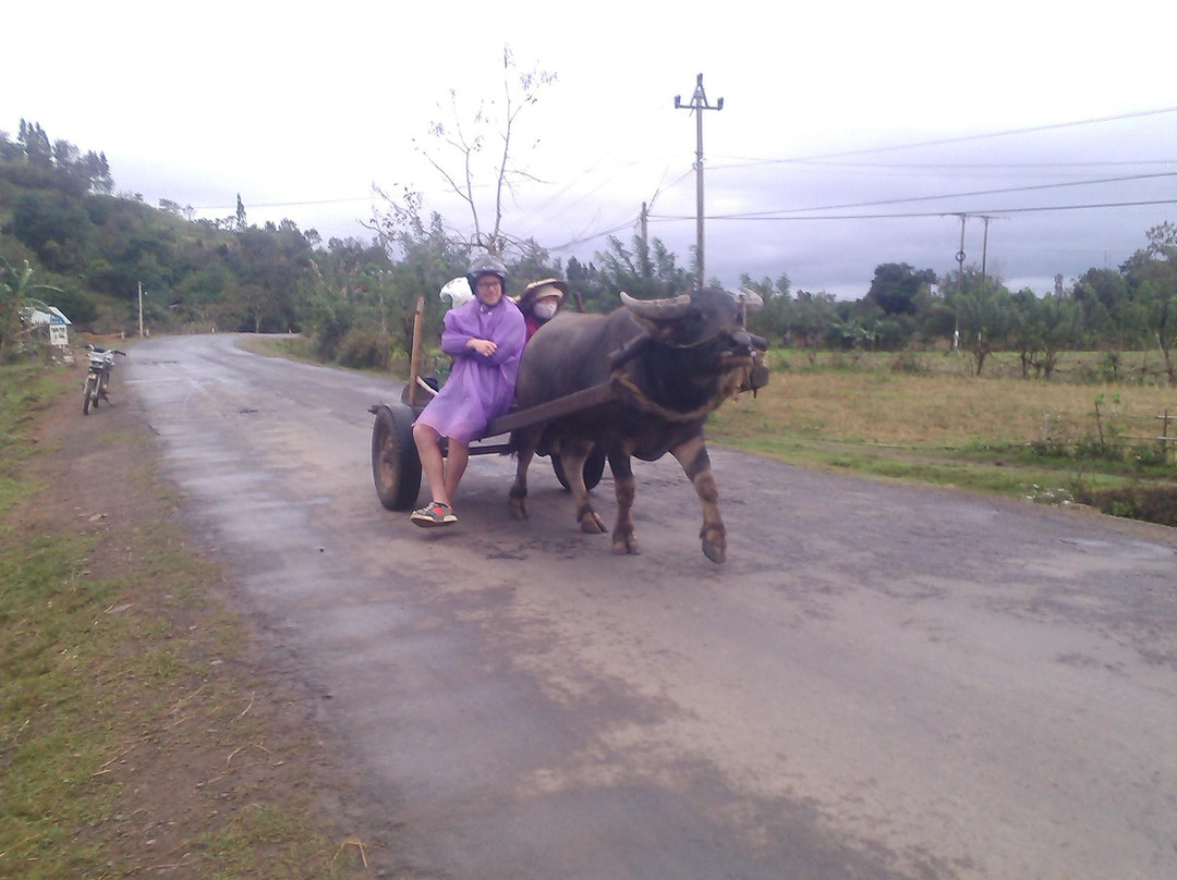 Vietnam Motorbike Tours - Around Da Lat-大勒必去景点
