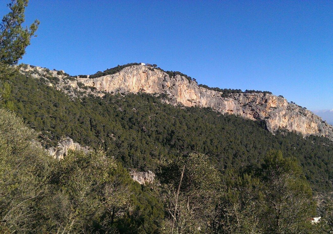 Castell d Alaro景点图片