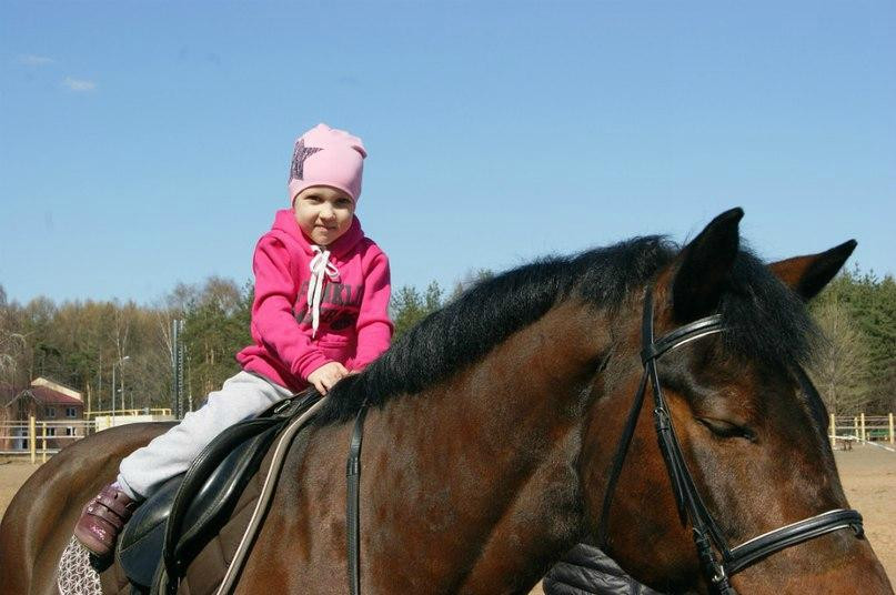 Horse Riding and Sports Club PEGAS景点图片