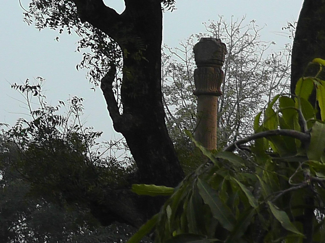 Khamba Baba/Heliodorus Pillar-Vidisha必去景点